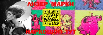 индика Сосновый Бор