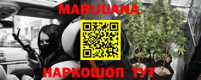 индика Сосновый Бор