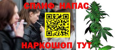 индика Сосновый Бор